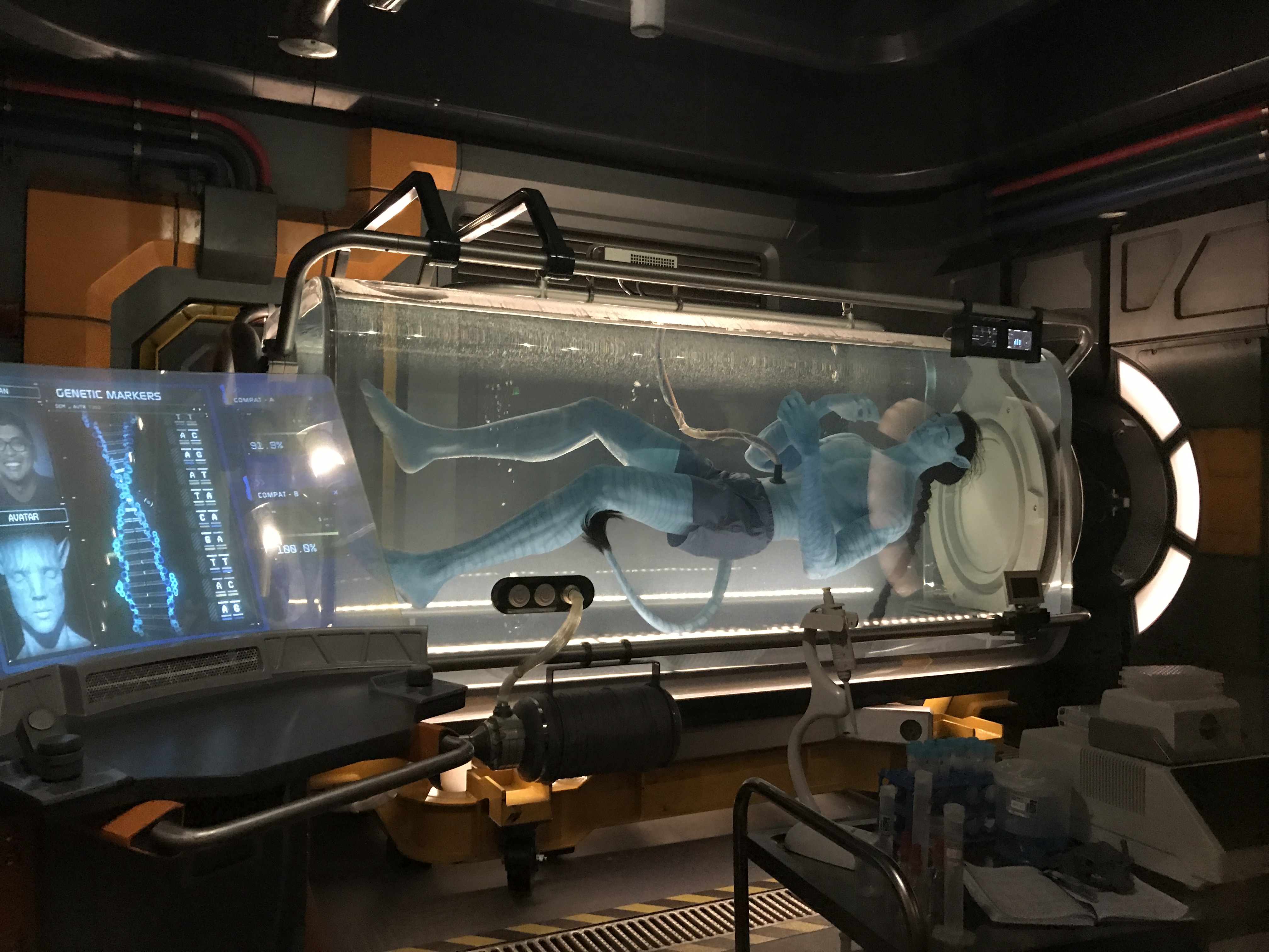 Avatar Pandora: The World of Avatar Flight of Passage
