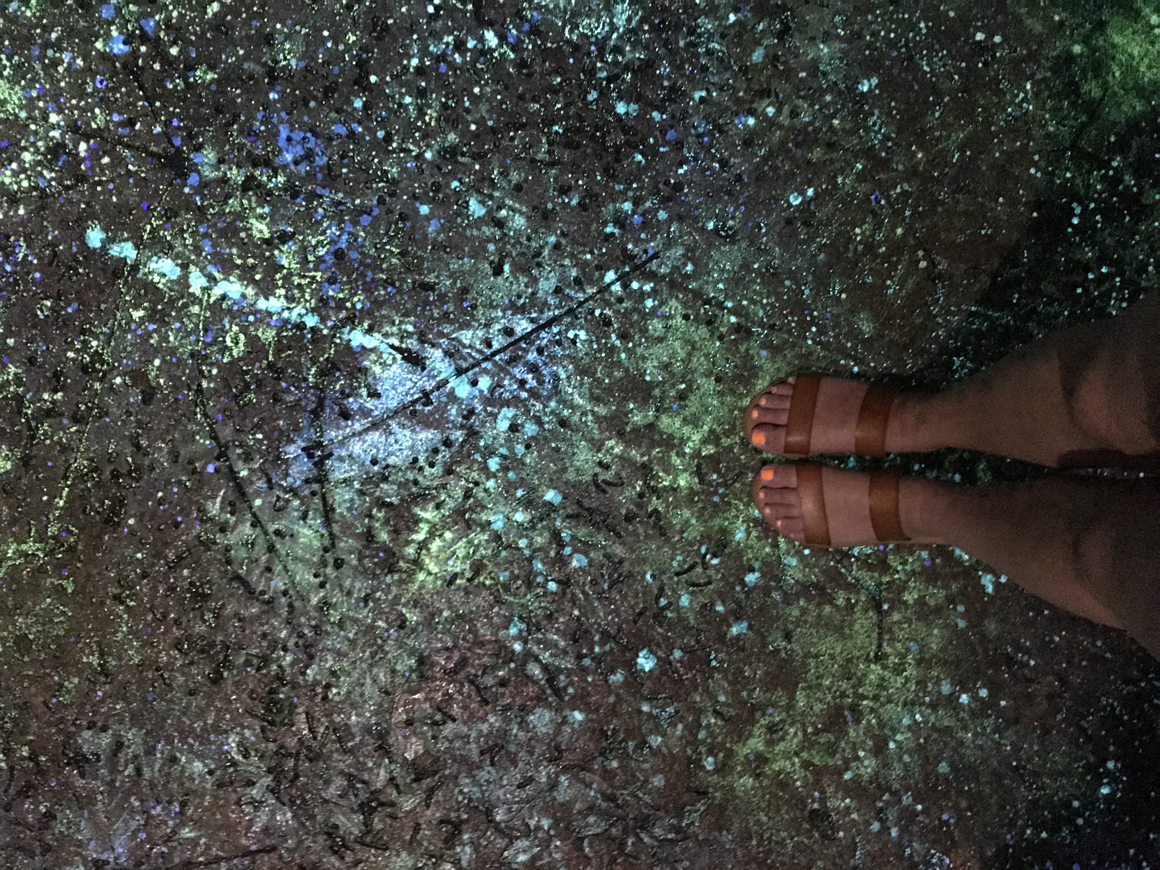 Bioluminescence Pandora: The World of Avatar bioluminescence