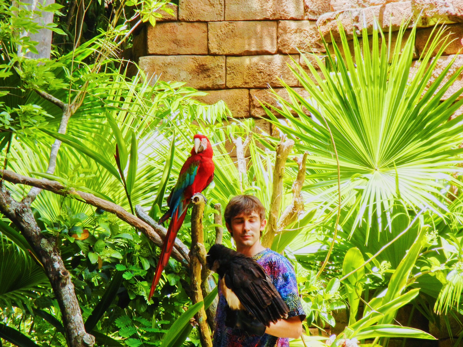 Featured image for “Flights Of Wonder Closing?”