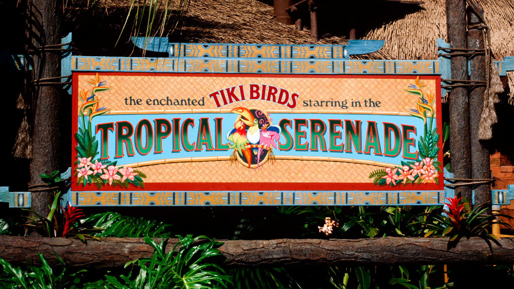 Tropical Serenade Magic Kingdom Walt Disney World Opening Day