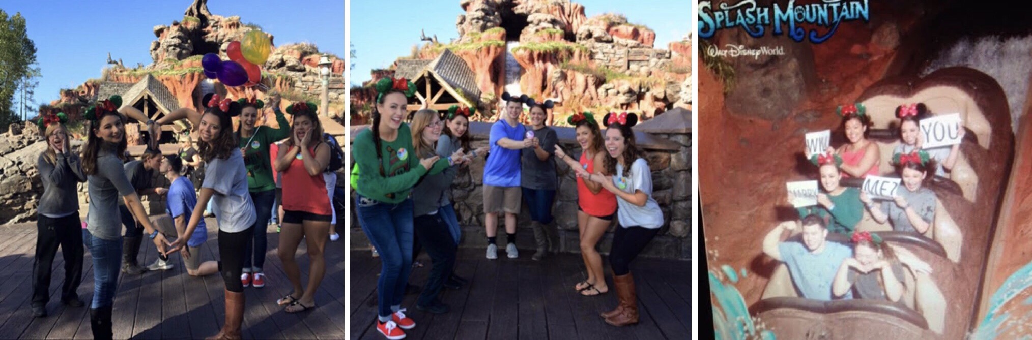 Splash Mountain Disney Proposal