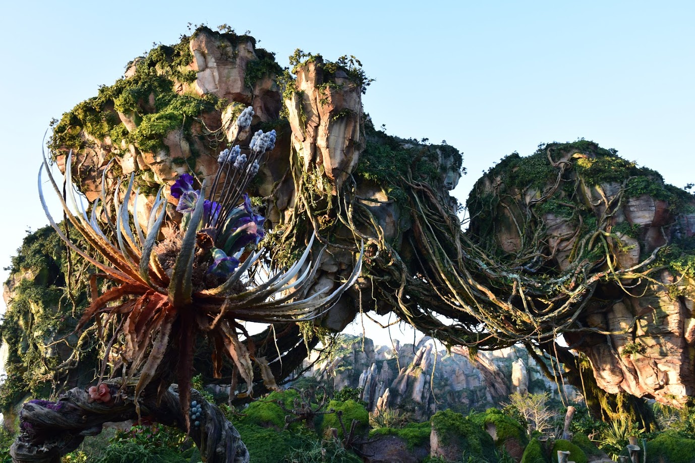 Featured image for “How To Wait Under An Hour For Flight Of Passage”
