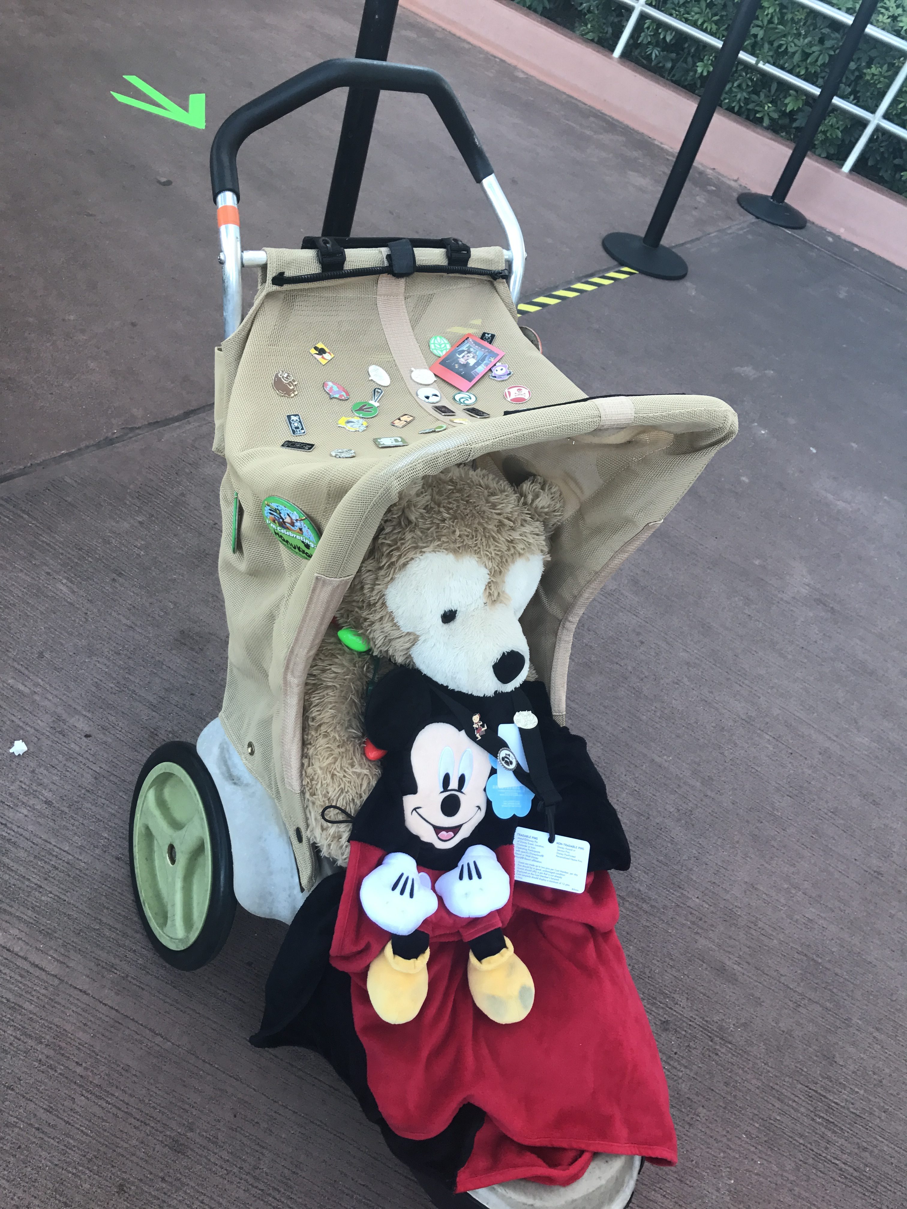 Disney pin stroller at Epcot