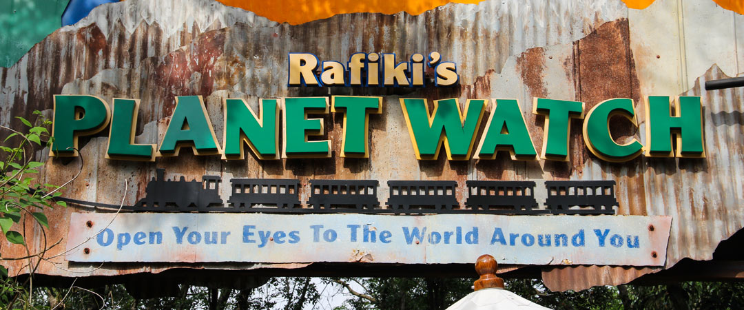 Featured image for “Where To Find 100+ Hidden Mickeys At Rafiki’s Planet Watch”