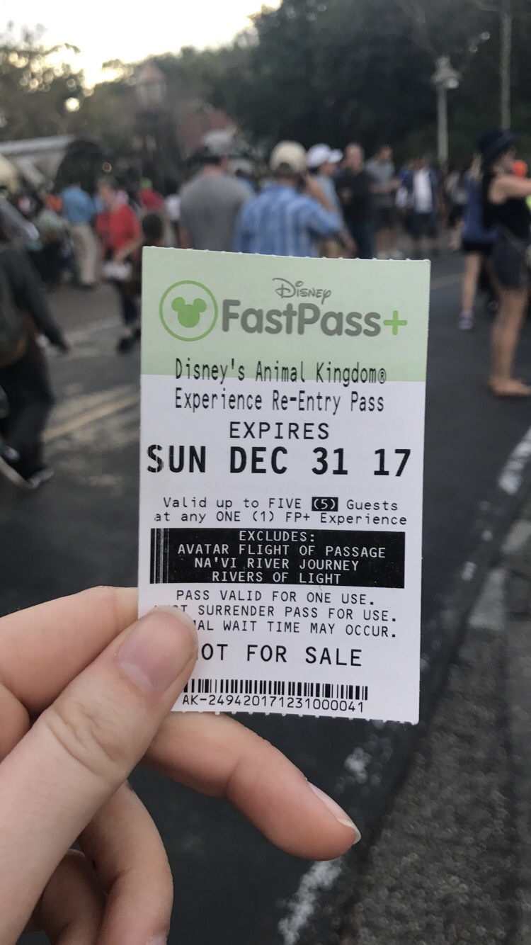 Disney Fastpasses