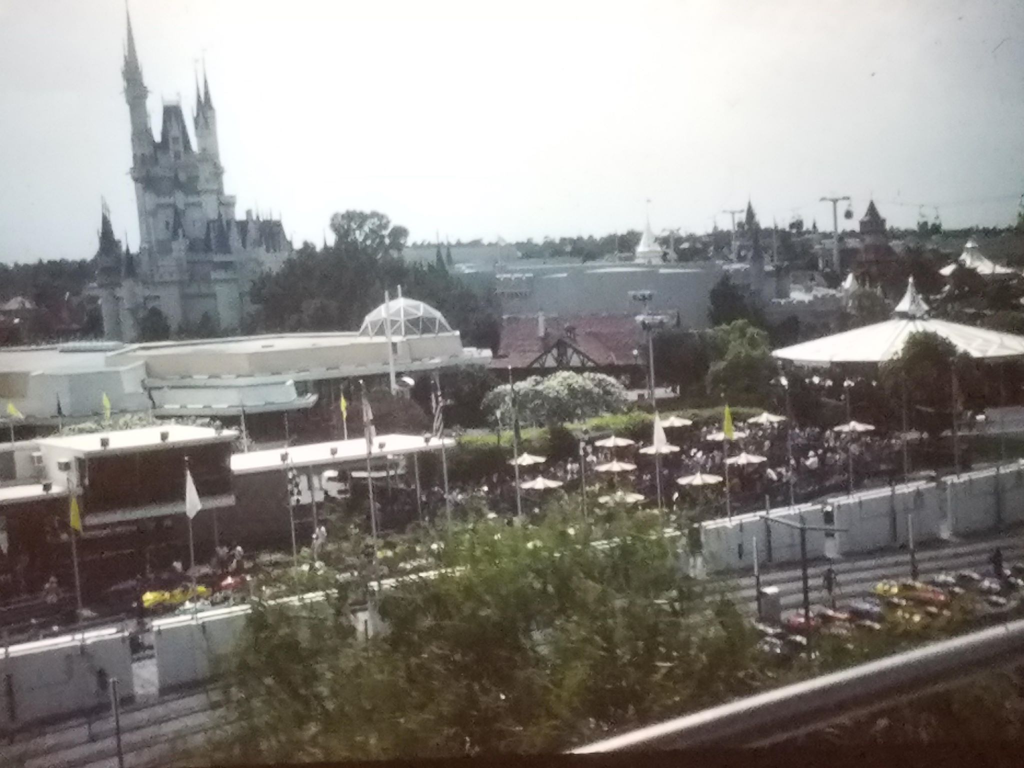 Magic Kingdom