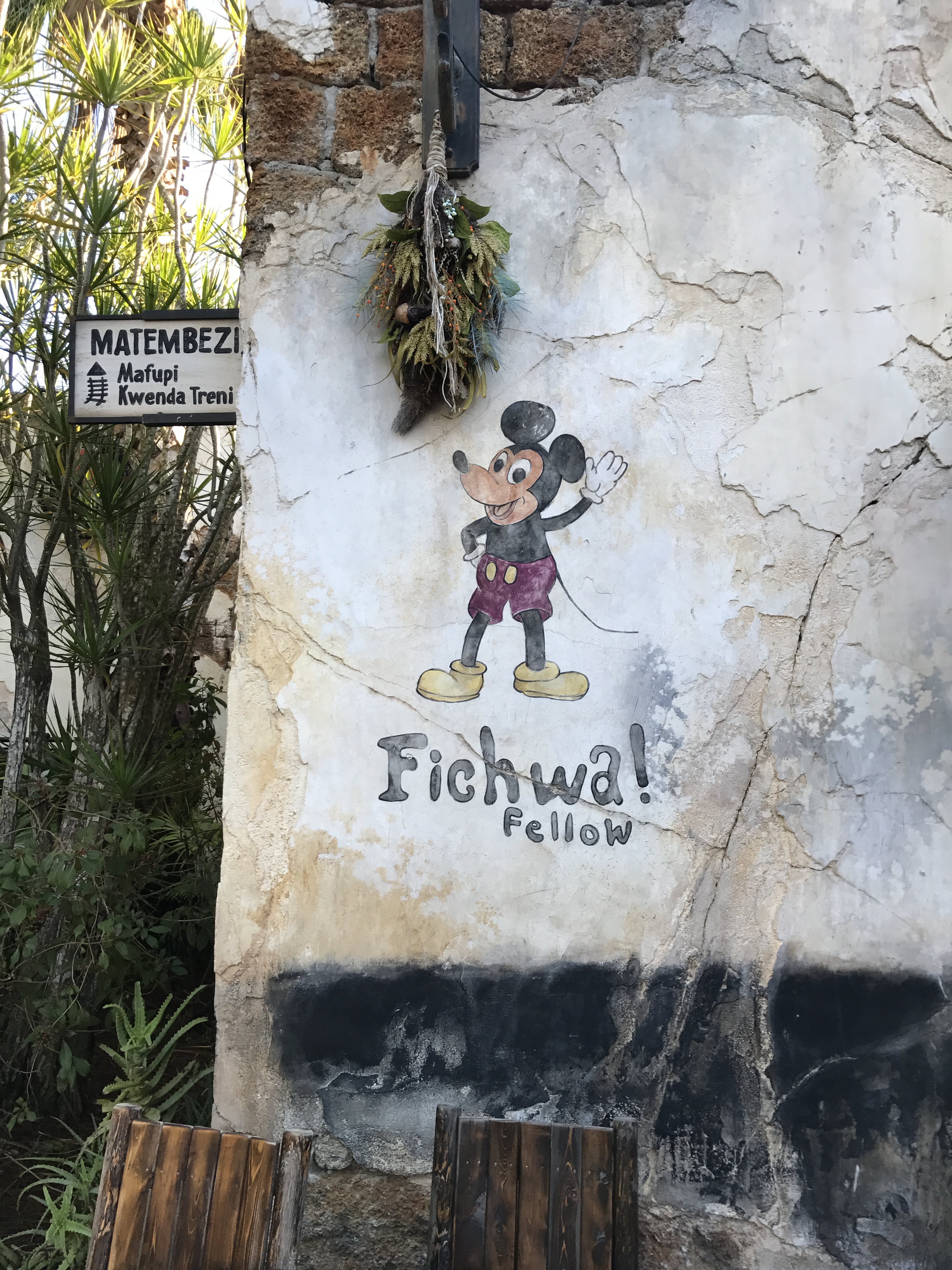 Fichwa Fellow