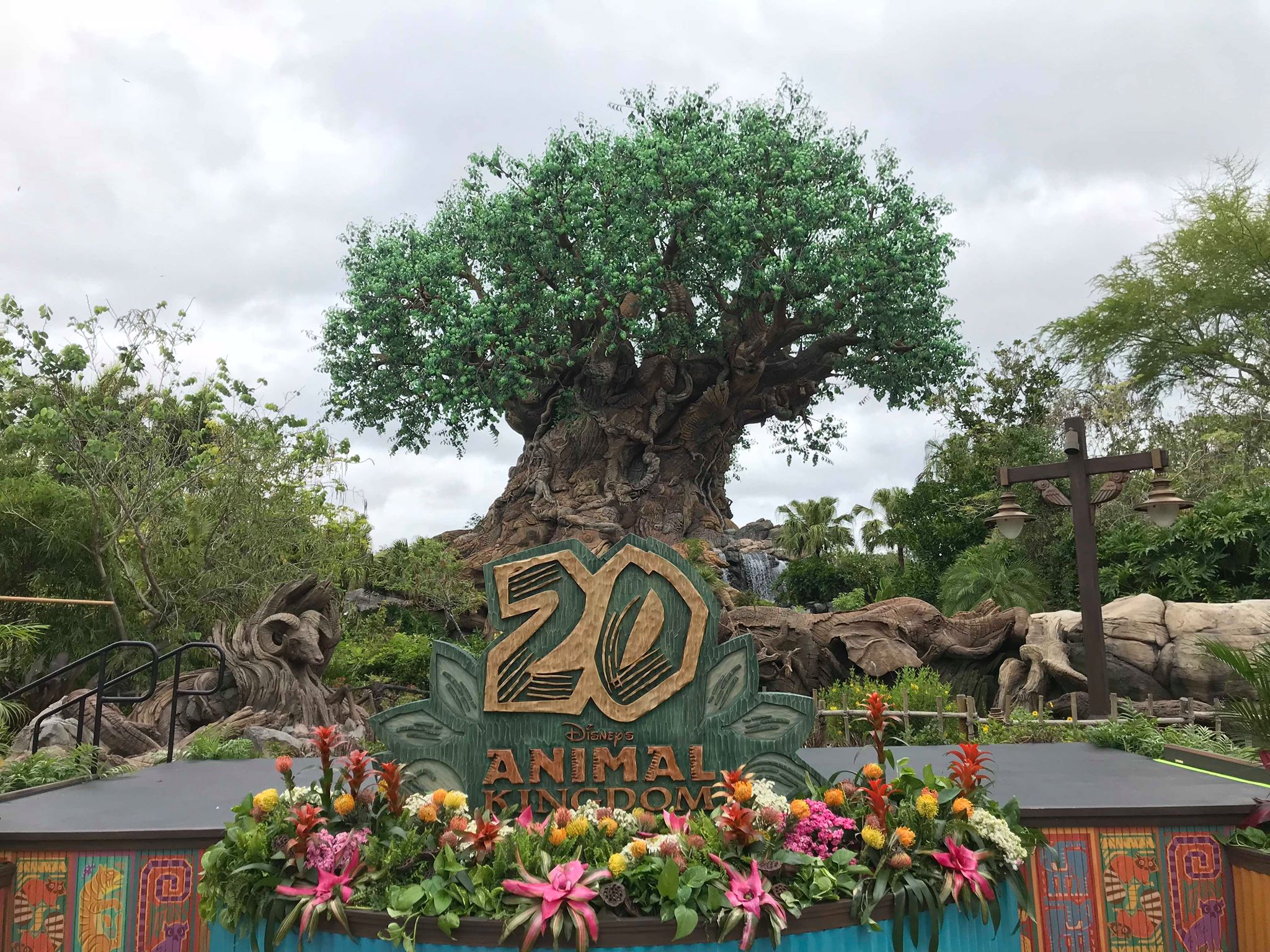 Featured image for “Celebrating the Animal Kingdom 20th Anniversary”