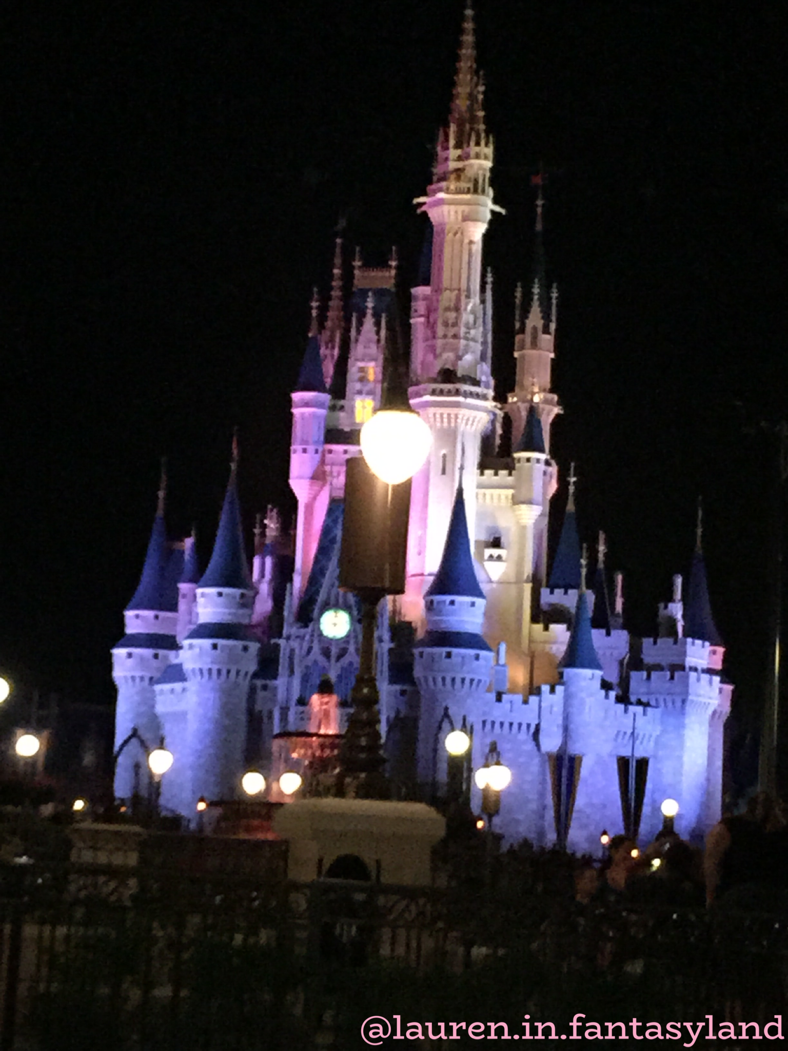Disney Castle Disney for Adults
