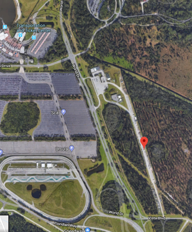 Disney STOLport Satellite