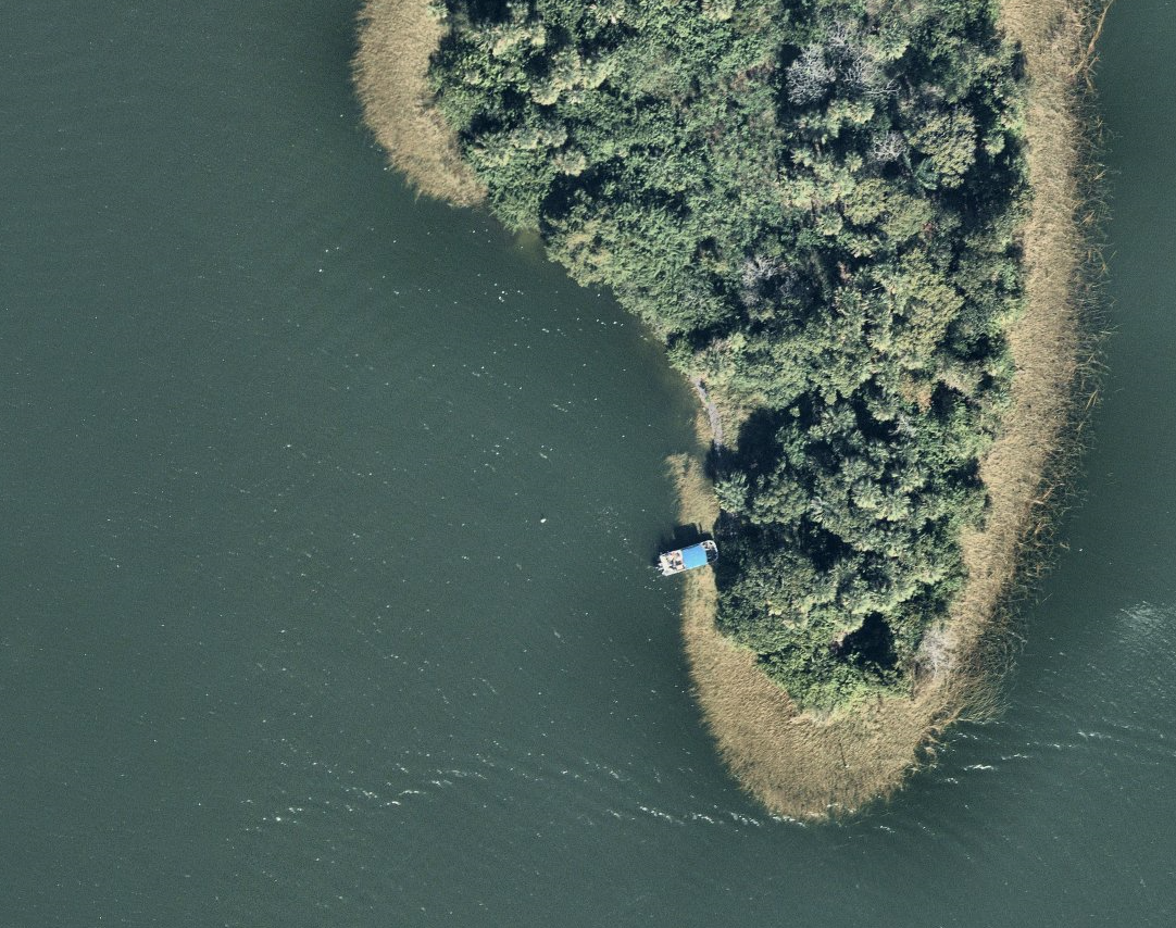 Remains of Wave Machine