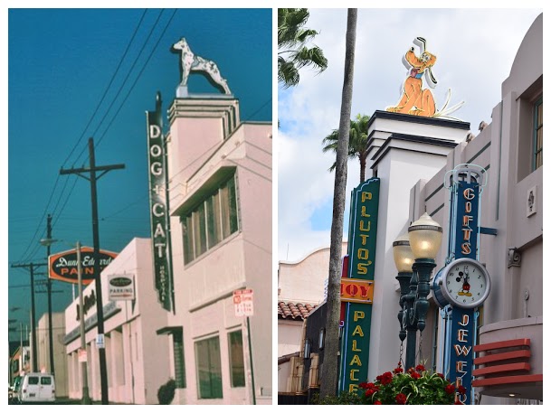 Moxley Dog and Cat Hospital Comparision Hollywood Studios