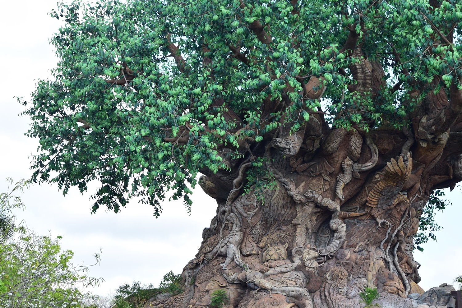 Tree of Life Backstory