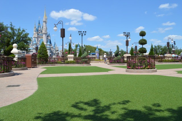 Hub Grass Magic Kingdom