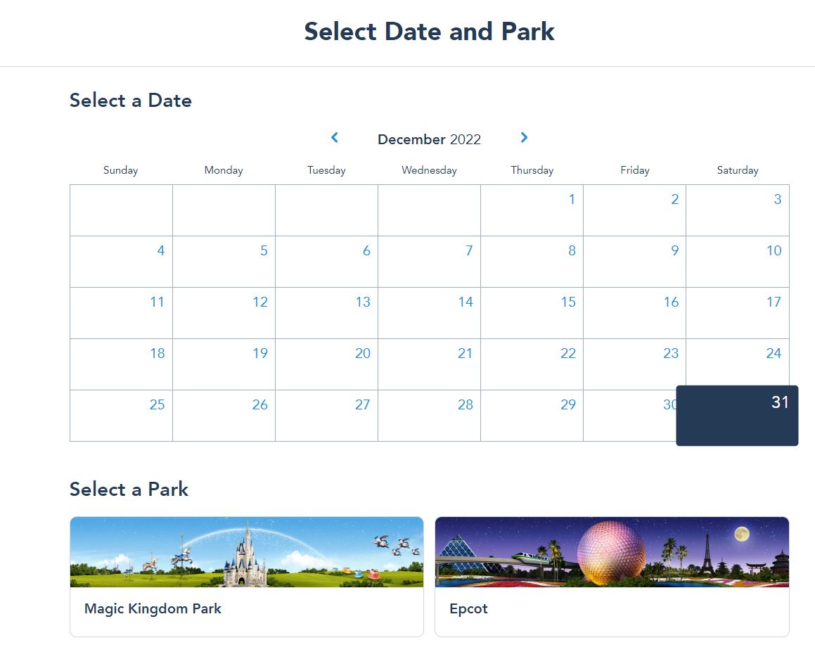Disney Park Pass
